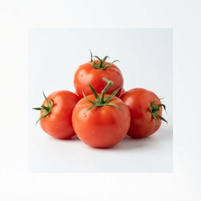 Fresh Premium Red Tomatoes