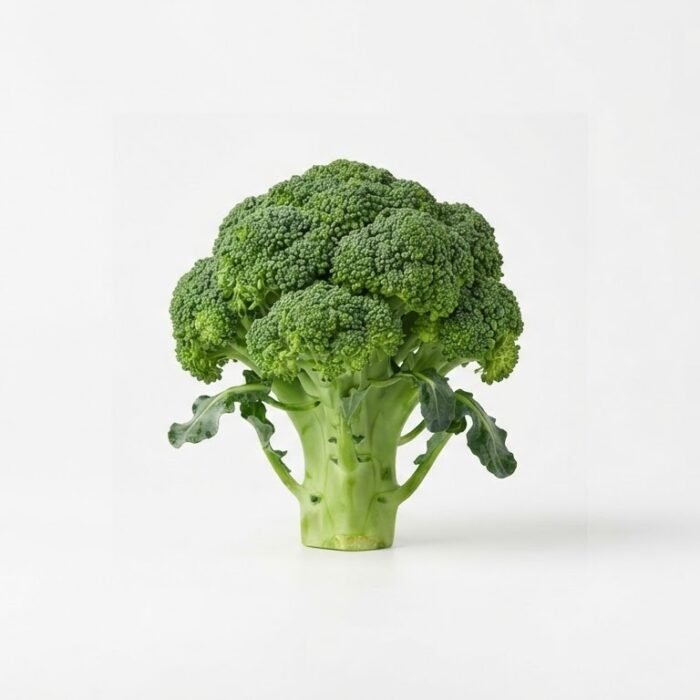 Fresh Green Broccoli