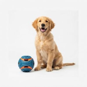 Interactive Dog Ball