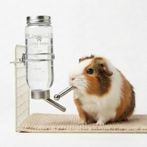 Guinea Pig Water Bottle
