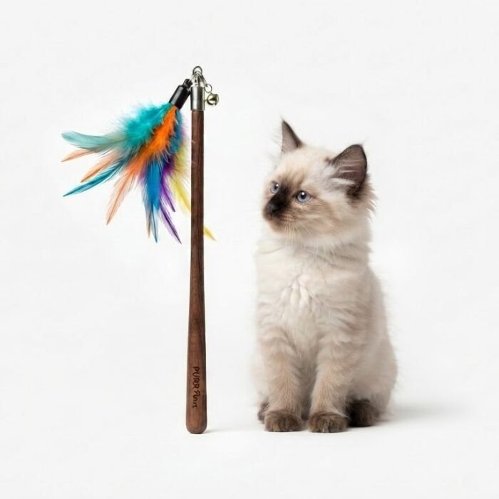 Cat Feather Wand